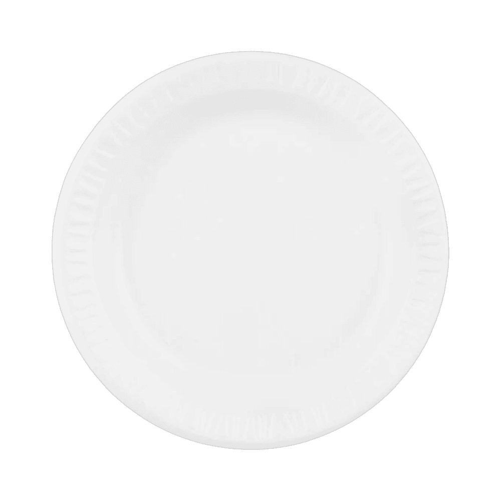 9" Foam Plate