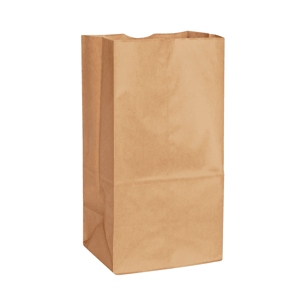 Kraft Paper Bag